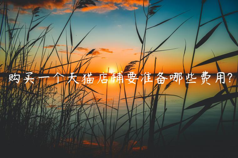 購(gòu)買(mǎi)一個(gè)天貓店鋪要準(zhǔn)備哪些費(fèi)用?